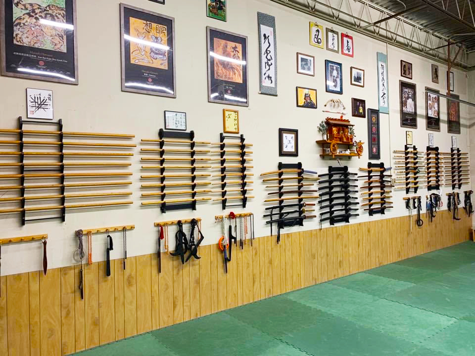 st. louis bujinkan dojo