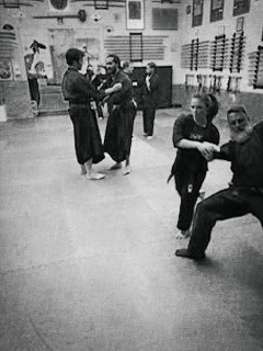 Saint Louis Bujinkan Dojo