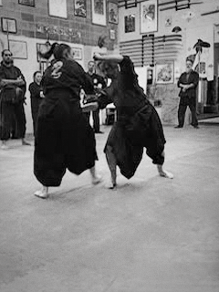 Saint Louis Bujinkan Dojo