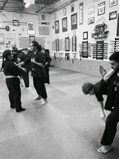 Saint Louis Bujinkan Dojo
